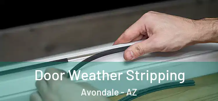  Door Weather Stripping Avondale - AZ