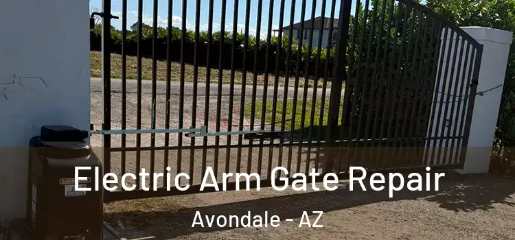  Electric Arm Gate Repair Avondale - AZ