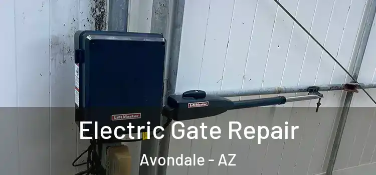  Electric Gate Repair Avondale - AZ