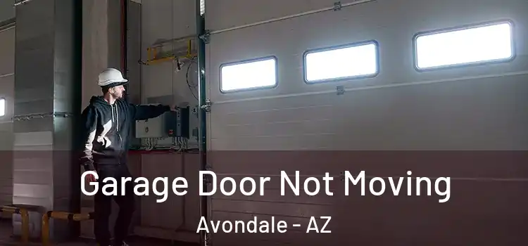  Garage Door Not Moving Avondale - AZ
