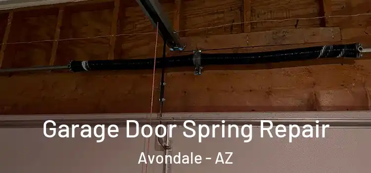  Garage Door Spring Repair Avondale - AZ