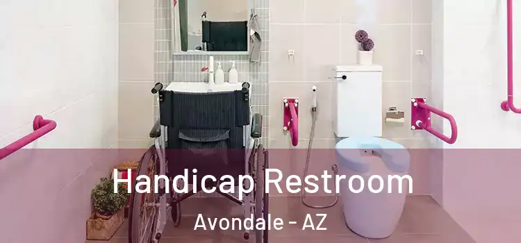  Handicap Restroom Avondale - AZ