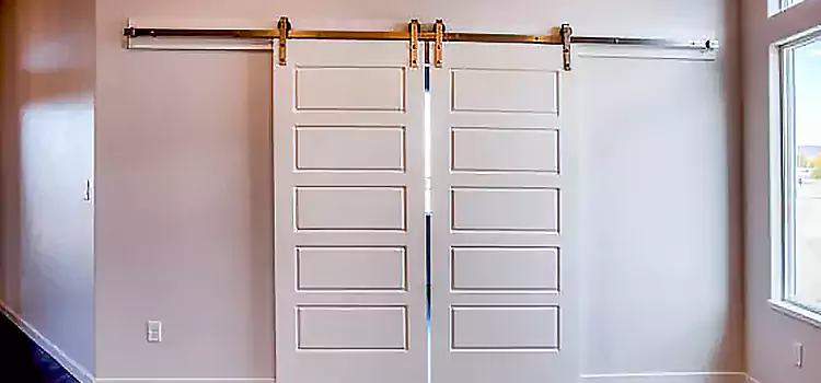 Glass Barn Door with Installation Hardware Kit Avondale