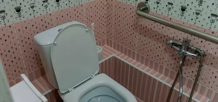 Meeting Diverse Needs With Accessible Restroom Solutions in Avondale, AZ