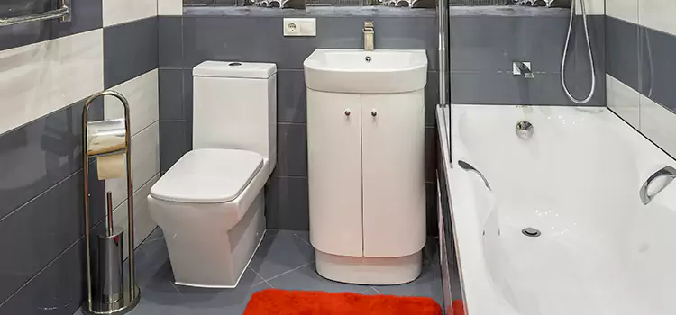 Hansgrohe Shaving Mirror Avondale