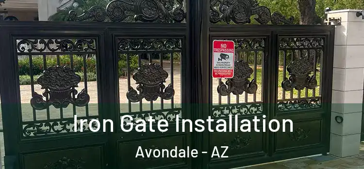  Iron Gate Installation Avondale - AZ
