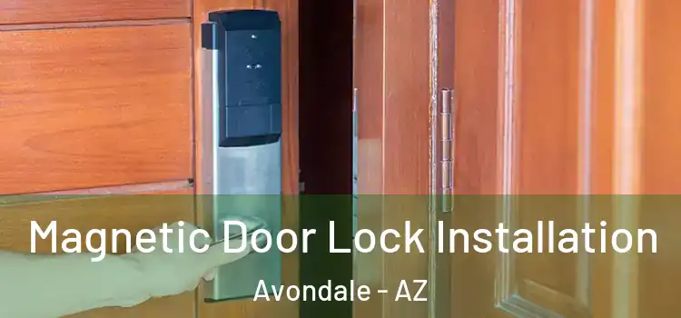  Magnetic Door Lock Installation Avondale - AZ