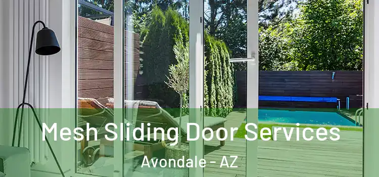 Mesh Sliding Door Services Avondale - AZ